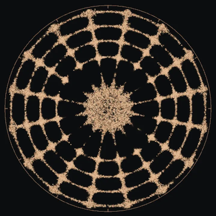 Copper-coloured particles settled into a circular standing-wave pattern of rings and radial nodes.